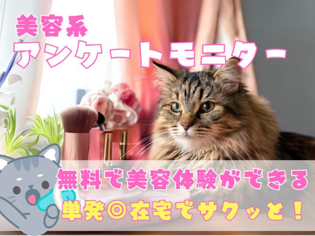 ReENTRY株式会社/cwの女性バイト求人情報