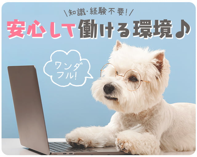 ジェイ・ネクスト株式会社の女性バイト求人情報