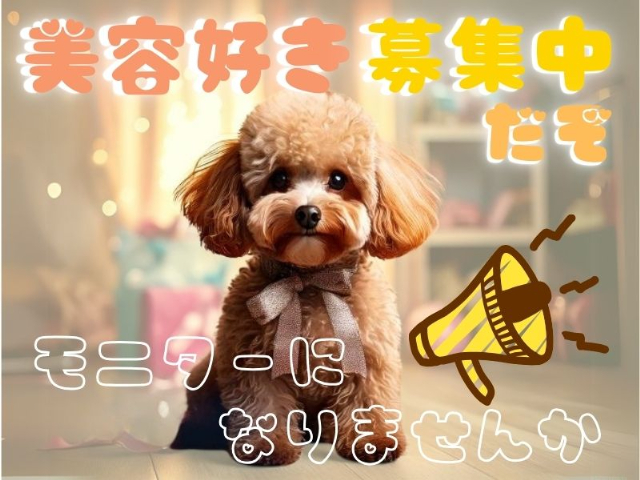 ReENTRY株式会社/cwの女性バイト求人情報