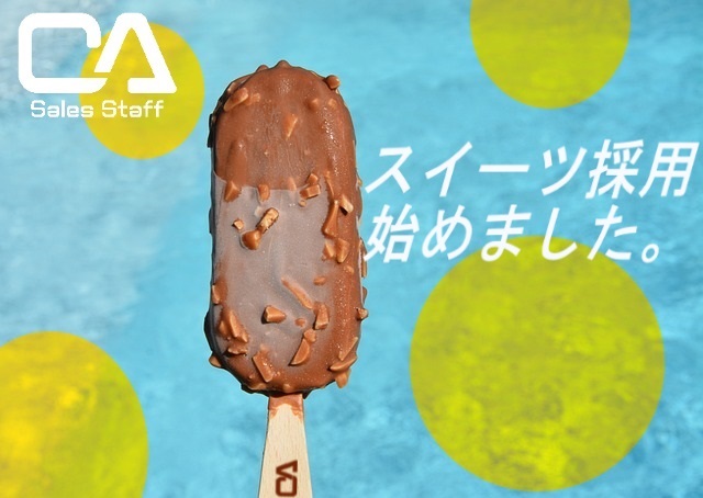 株式会社シーエーセールススタッフ