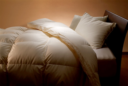 株式会社シーエーセールススタッフ（兵庫県）の女性バイト求人情報