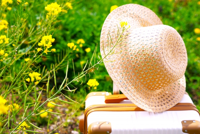 株式会社シーエーセールススタッフ